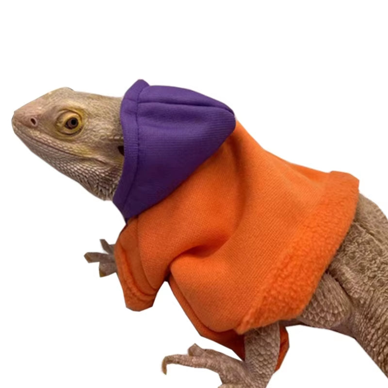 Bearded Dragon Clothes, Costume Accessories, Apparel, Clothing, Hand-Made, Warm Coat, Hoodies, Jackets for Small Animal, Geckos
