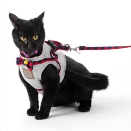 Cat Harness and Leash Set for Kittens and Cats