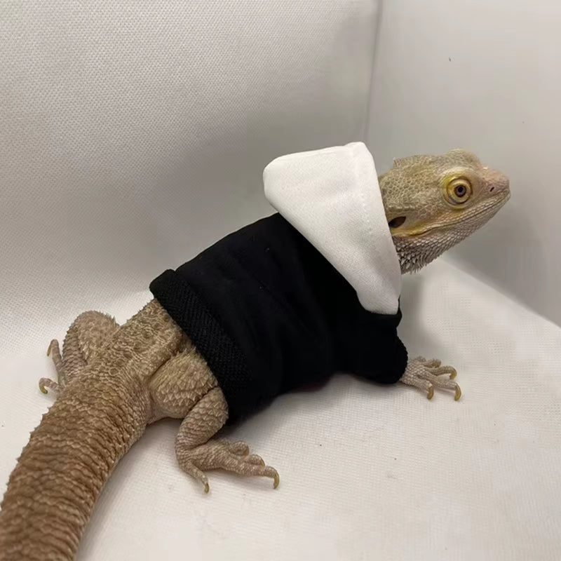 Bearded Dragon Clothes, Costume Accessories, Apparel, Clothing, Hand-Made, Warm Coat, Hoodies, Jackets for Small Animal, Geckos