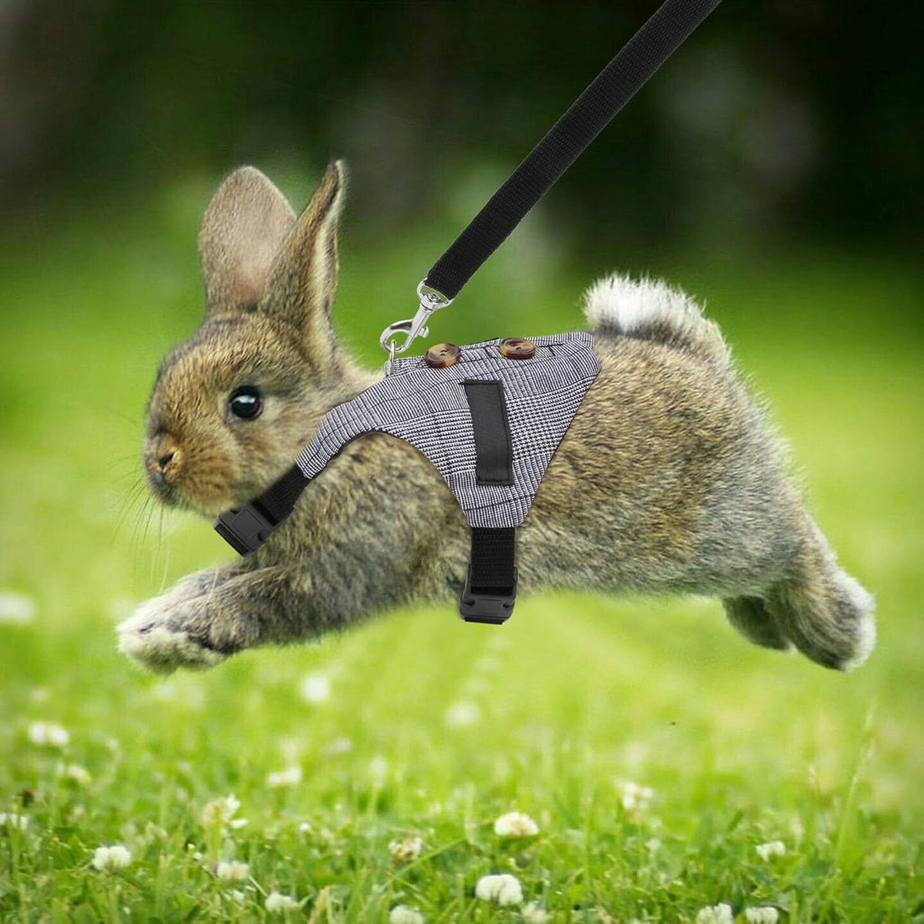 Adjustable Rabbit Vest Harness and Leash Set in Formal Suit Style for Small Animals (Size S)