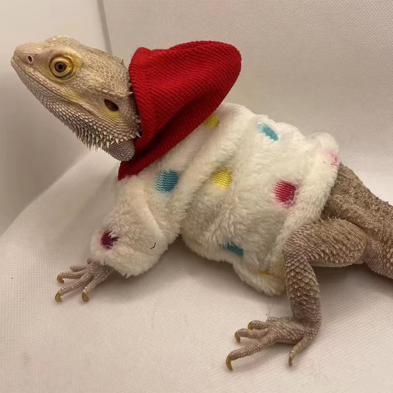 Bearded Dragon Clothes, Costume Accessories, Apparel, Clothing, Hand-Made, Warm Coat, Hoodies, Jackets for Small Animal, Geckos