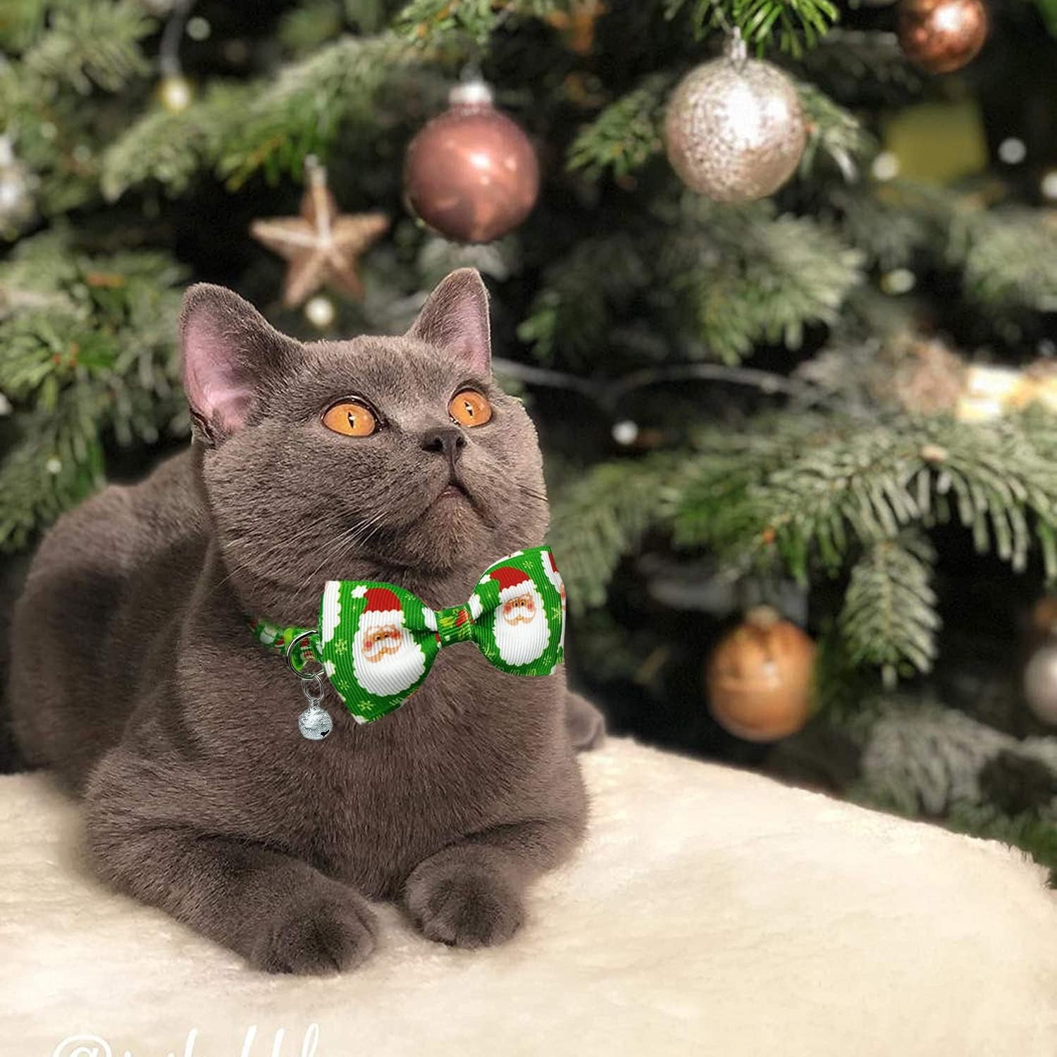 Christmas Holiday Cat Collar Set with Bow Tie and Bell, Winter Breakaway Design for Kittens - 2 Pack