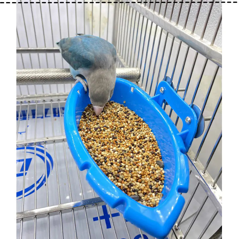Parrot Bath Tub and Food Bowl Feeder Combo