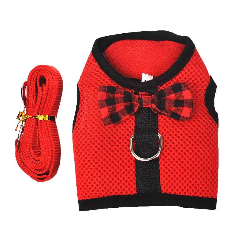 Rabbit Vest-Style Breathable Mesh Chest Harness and Leash