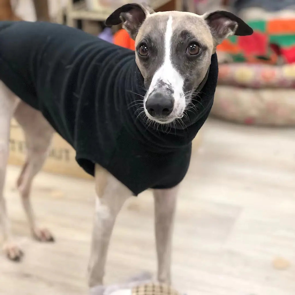 Soft Polar Fleece Turtleneck for Dogs
