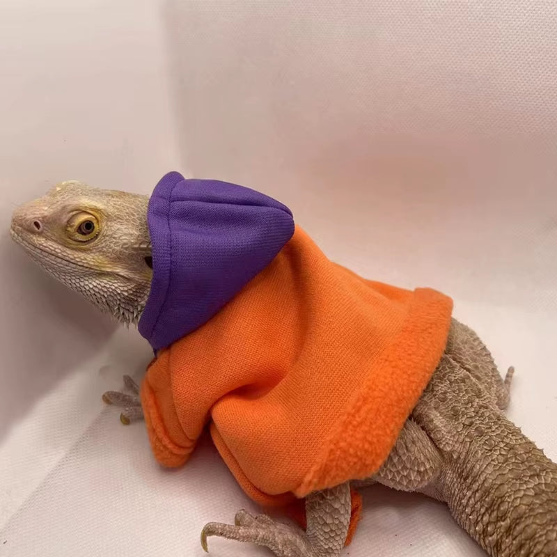 Bearded Dragon Clothes, Costume Accessories, Apparel, Clothing, Hand-Made, Warm Coat, Hoodies, Jackets for Small Animal, Geckos