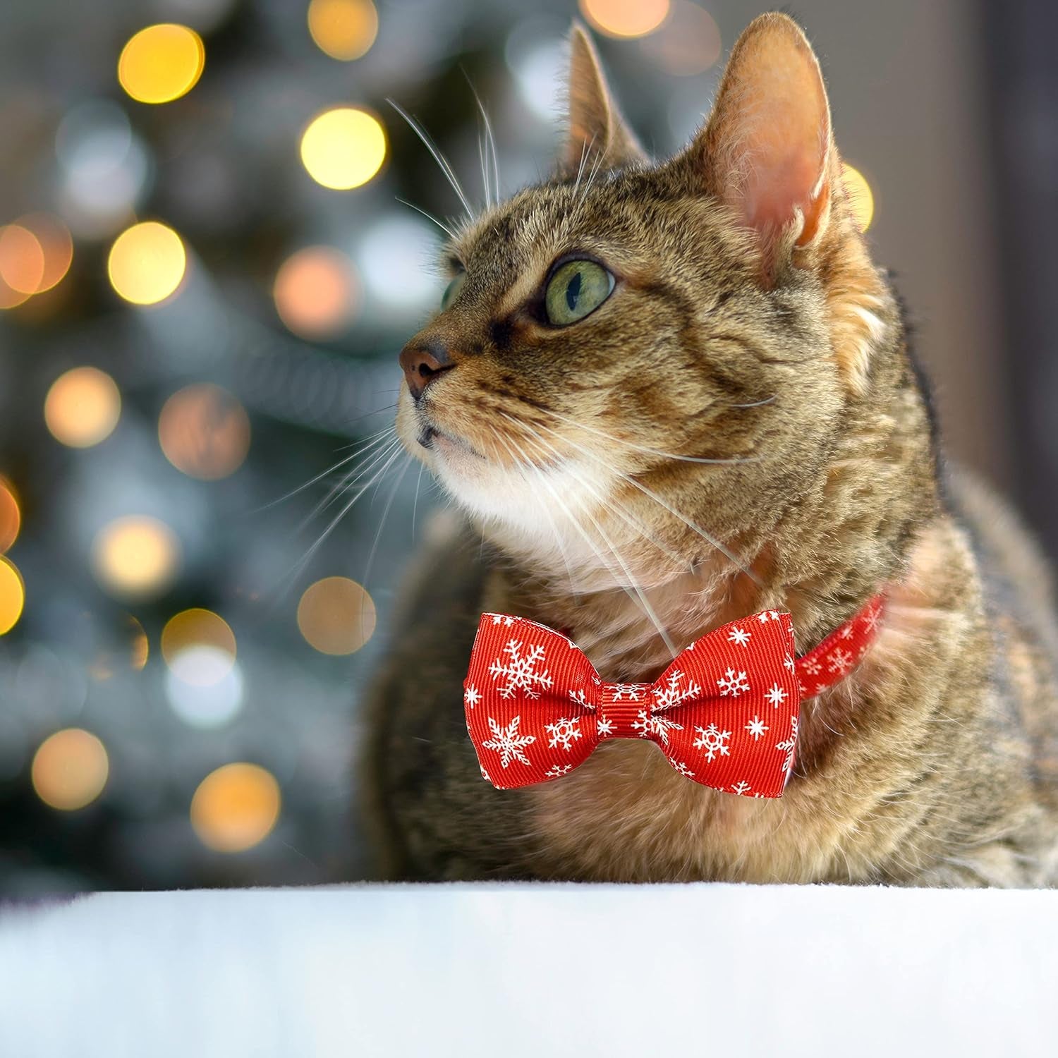 Christmas Holiday Cat Collar Set with Bow Tie and Bell, Winter Breakaway Design for Kittens - 2 Pack