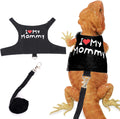 Adjustable Harness Clothes with Leash for Walking Outdoor Bearded Dragon Harness and Leash Set for LizardsChameleonReptileDress Your Bearded Dragon in The Best OutfitHalloween Costume Accessories