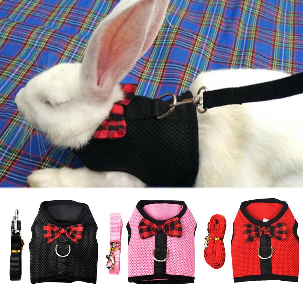 Rabbit Vest-Style Breathable Mesh Chest Harness and Leash