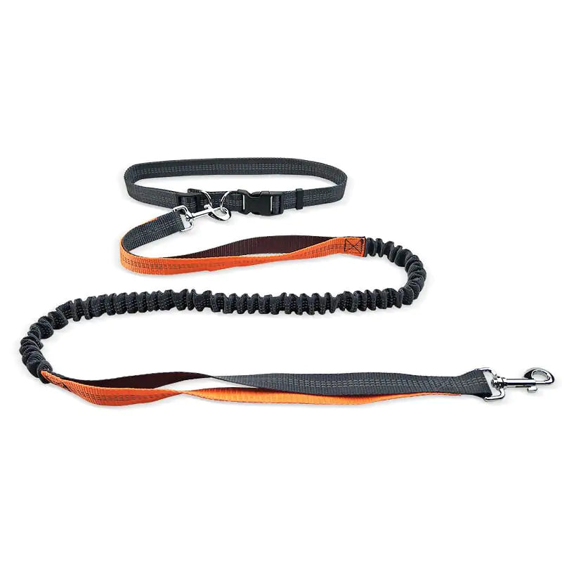 Dog Walking Belt with Detachable Shockproof Leash