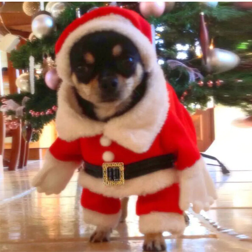3D Christmas Suit Hat for Dogs