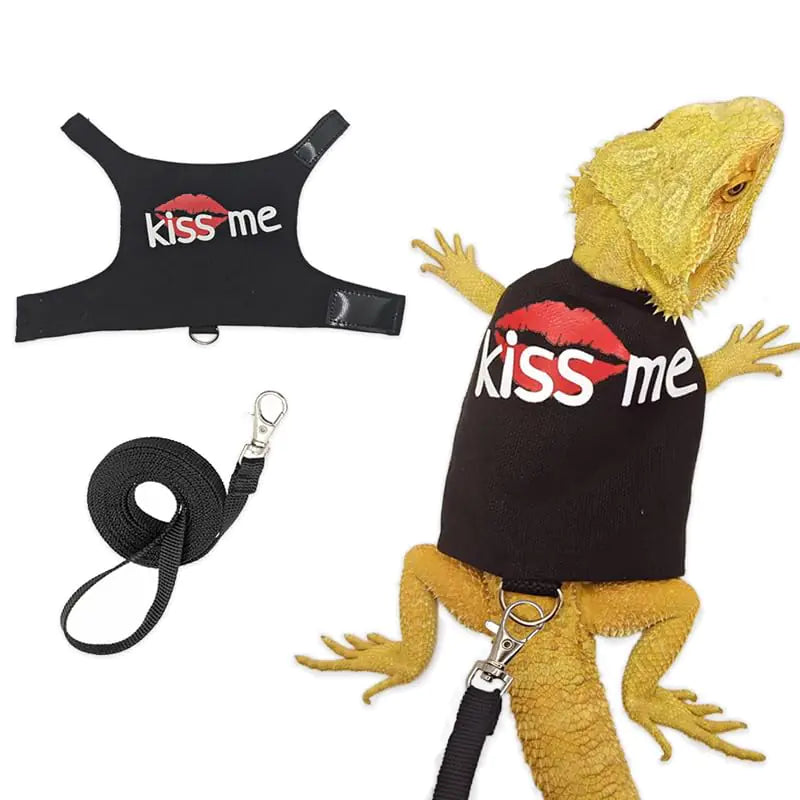 HOKABLE Bearded Dragon Leash and Harness Adjustable - Bearded Dragon Leash and Harness Set with Lizard Luminous Leash for Amphibians Chameleons Small Pet Animals Outdoor Safety Walking（Black）