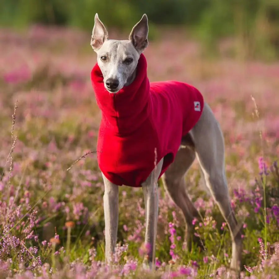 Soft Polar Fleece Turtleneck for Dogs